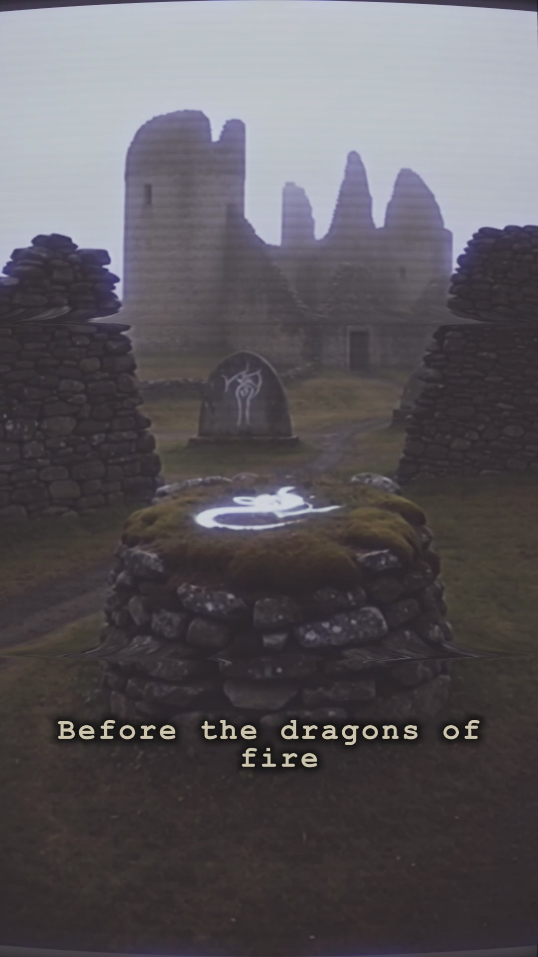 Load video: A vision from the wyrm, captured and preserved.